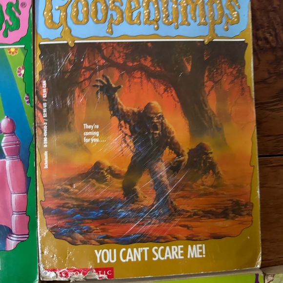 RL Stine, goosebumps books lot of 10 ￼ - Picture 5 of 13